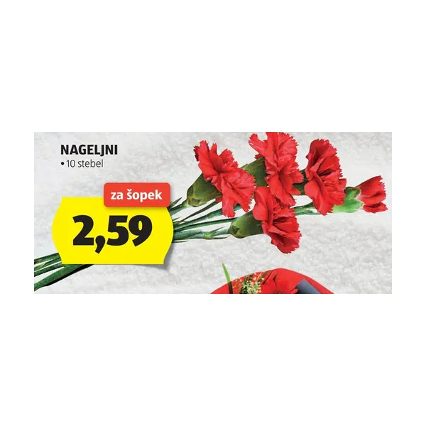 Nageljni, 10 stebel