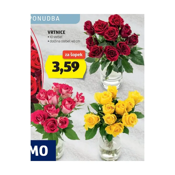 Vrtnice, 10 stebel