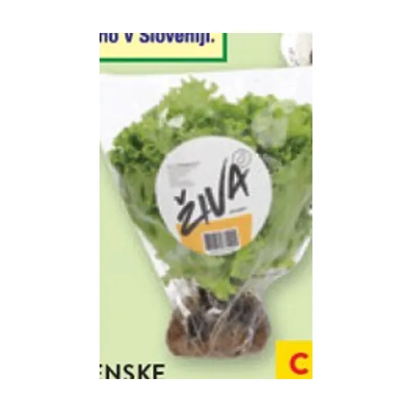 Slovenske solate Živa, 1 kos