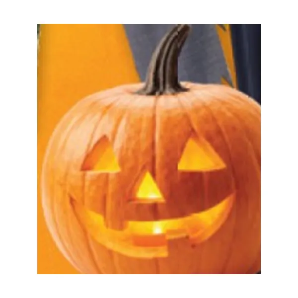Slovenske praznične buče Halloween, kg
