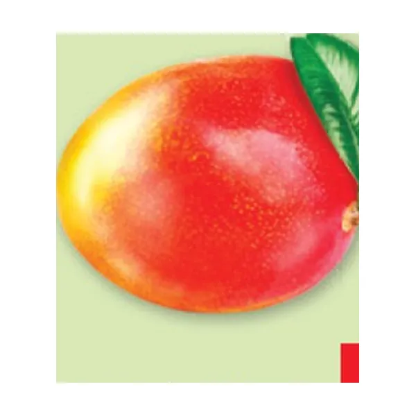 Mango iz Sončne Španije, kg